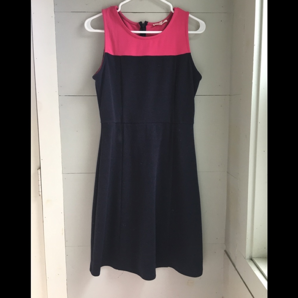Navy and pink dress